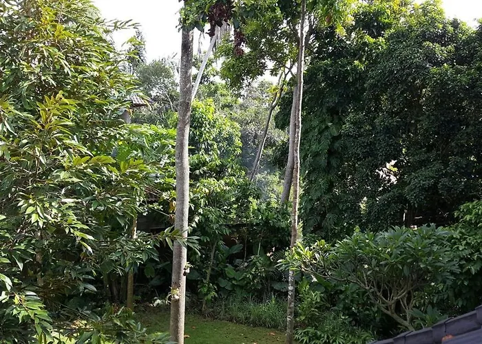 Appartamento 2br Jungle House & Eco Garden In The Edge Of *