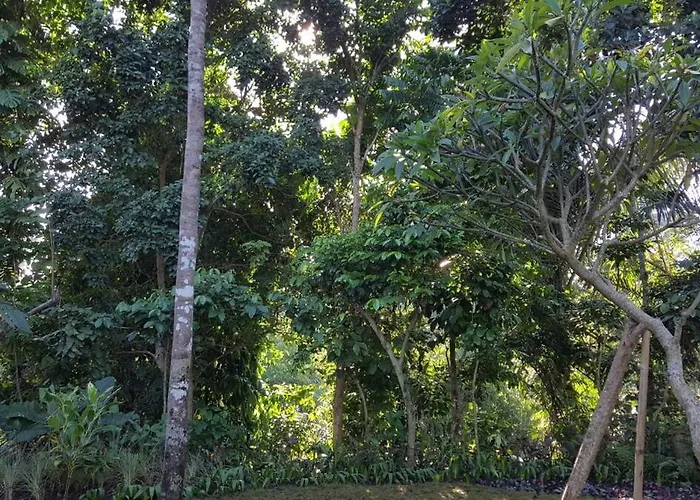Appartamento 2br Jungle House & Eco Garden In The Edge Of *