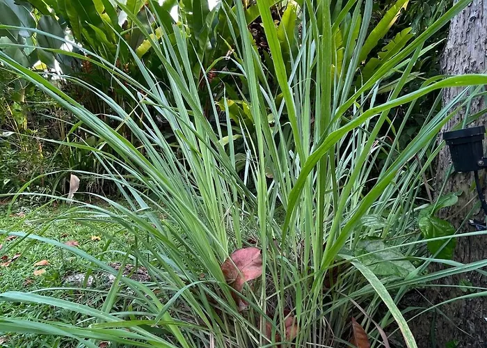 2br Jungle House & Eco Garden In The Edge Of * Ubud