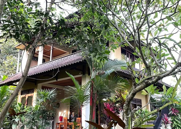 Appartamento 2br Jungle House & Eco Garden In The Edge Of
